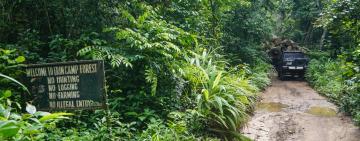 Nigeria’s Nature Reserves Need More Help to Protect Biodiversity